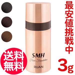 送料無料 最安値 ルアン スーパーミリオンヘアー SMH ヘアファンデーション スティックタイプ 3g【TG】｜togishokunin