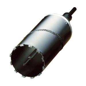 ハウスビーエム ハウスBM ドッカンコアドリル(回転用) 170mm DDF-170