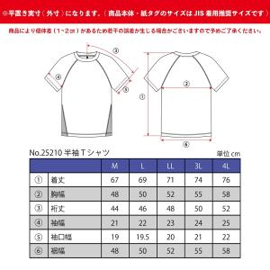 ドライ 半袖 Tシャツ 夏 吸汗 速乾 裏メッ...の詳細画像1