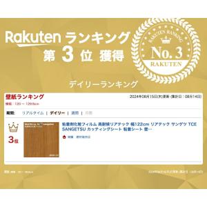 【ポイント2倍UP】粘着剤化粧フィルム 高耐候...の詳細画像1