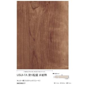 【送料無料】パナソニック USUI-TA 滑り...の詳細画像2