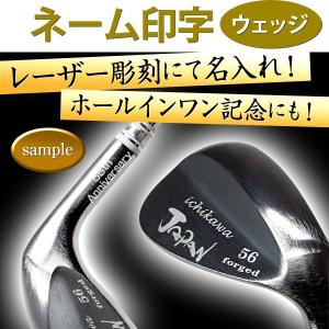 東邦ゴルフ アイアンセット NOWcollection 7本セット #5 6 7 8 9 PW SW