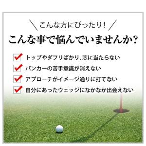 ウェッジ ゴルフクラブ 匠スタンダード 2本セ...の詳細画像2