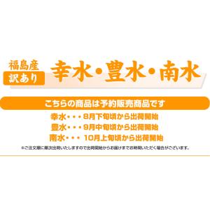 福島県産 梨 訳あり 約2.7kg(8〜15玉...の詳細画像2