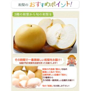 福島県産 梨 訳あり 約2.7kg(8〜15玉...の詳細画像3