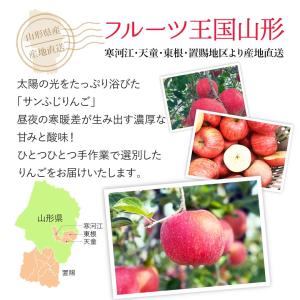山形県産 りんご 訳あり5kg(13〜20玉)...の詳細画像1