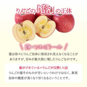 山形県産 りんご 訳あり5kg(13〜20玉)...の詳細画像2