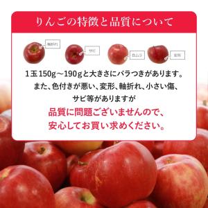 山形県産 りんご 訳あり5kg(13〜20玉)...の詳細画像3