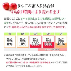 山形県産 りんご 訳あり5kg(13〜20玉)...の詳細画像4