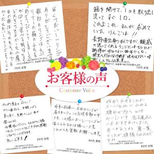 山形県産 りんご 訳あり5kg(13〜20玉)...の詳細画像5