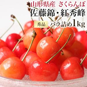 山形県産 さくらんぼ 佐藤錦 秀品 1kg バラ詰め L玉以上 朝摘み農園直送 送料無料