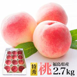 特秀品 桃 2.7kg 福島県桑折町 福島 特秀品 2.7kg箱 約6〜16玉 福島県産 農園直送 選べる9品種 ロイヤルピーチ｜tohoku-happy