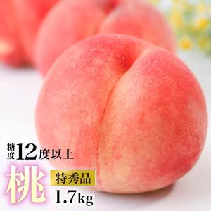 福島県産 特秀 桃 1.7kg箱(5〜9玉)送料無料 光センサー検査 糖度検査済み 贈答ギフト｜tohoku-happy