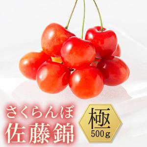 特撰さくらんぼ 佐藤錦 500g 最高級のさくらんぼ 贈り物ギフトに最適なワンランク上の佐藤錦 山形県天童市 東根市から産地直送 送料無料｜tohoku-happy