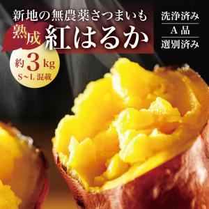 【2026-27年度 販売中 送料無料 *沖縄離島追加料金あり】栽培期間中農薬不使用 熟成 さつまいも 紅はるか 3kg｜サツマイモ さつま芋 サツマ芋 薩摩芋 国産 甘い