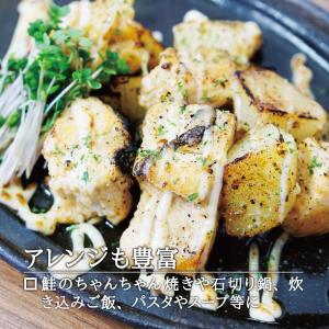 ストー缶詰 北海道産 鮭水煮(からふとます) ...の詳細画像5