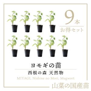 山菜 行者にんにく 苗】西根の森 苗根 5年~6年物 50本｜ 行者ニンニク