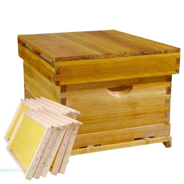 養蜂箱蜜蜂巣箱ミツバチ巣箱 蜂蜜蜂の巣箱 ミツバチの巣箱 蜂蜜キーパー 10フレーム 蜜蝋ハイブ 養...