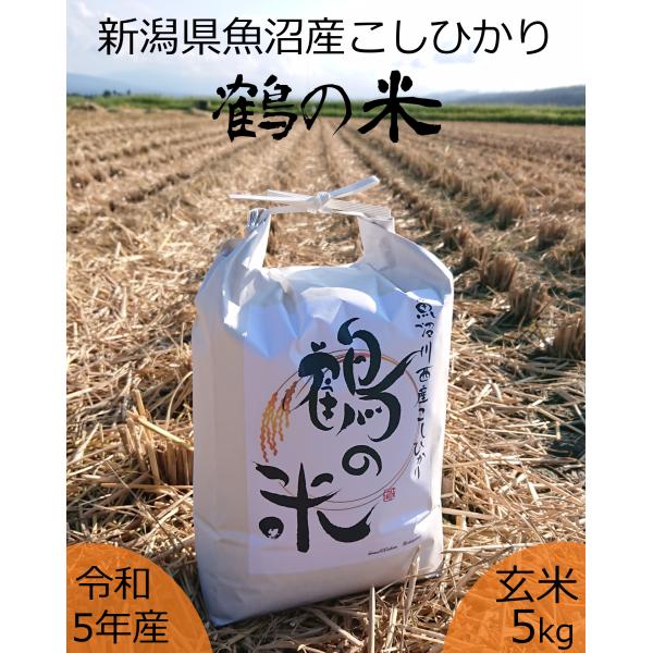 新潟県 魚沼 川西産 こしひかり 鶴の米 極上 特別栽培米 星のお米 令和5年産 5kg 玄米