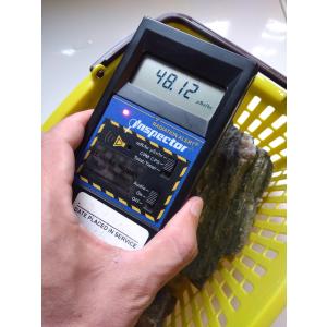 GS3-22 放射線量:23.51μSv、約5...の詳細画像3