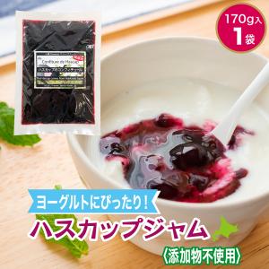ジャム ハスカップジャム 170g(平袋)×1袋 添加物不使用 送料無料 十勝ベリーファーム ヨーグルトソース