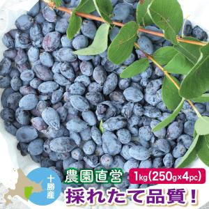冷凍ハスカップ 1kg(250g×4)  北海道十勝産  一般品質