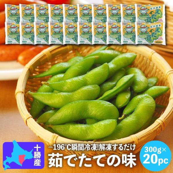 冷凍 枝豆 国産 北海道産 JA中札内村 そのままえだ豆 300g×20パック 冷凍食品