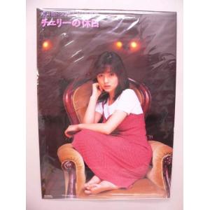 （ポスター） 桜井智ドラマＣＤ付写真集　チェリーの休日　Ｂ2サイズポスター【中古】