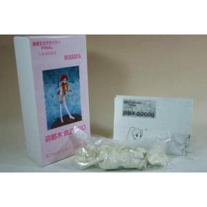 toy） 一騎当千 孫策伯符（水着2、宮沢模型株式会社限定黒水着ver