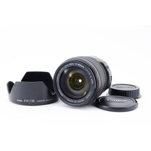 Canon EFレンズ EF-S17-85mm F4-5.6 IS USM デジタル専用 フード付き｜tokaicamera