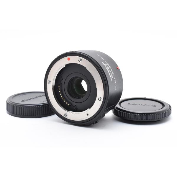 オリンパス ZUIKO DIGITAL 2× Teleconverter EC-20