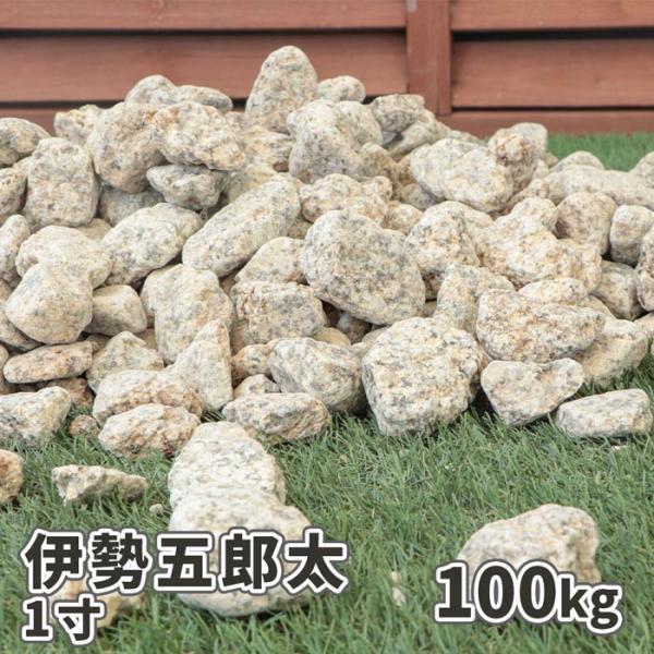 伊勢五郎太 1寸 100kg (20kg×5袋) / 送料無料 和風 坪庭 敷き砂利 お庭 玄関