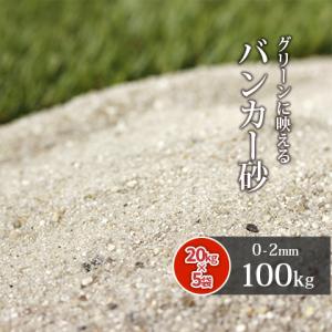 芝生用 目砂 乾燥砂 木曽川流域産 洗い砂 [0-1mm] 100kg (20kg×5袋