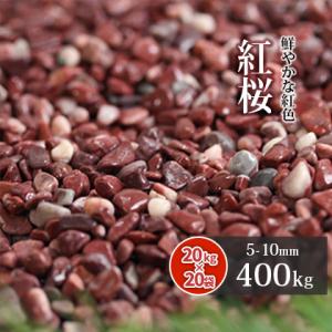 紅桜 400kg (20kg×20袋) / 送料無料｜tokaijari