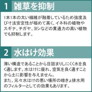 超強力 防草シート 20cm幅×100cm [...の詳細画像1