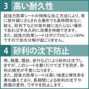 超強力 防草シート 20cm幅×100cm [...の詳細画像2