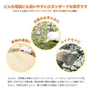 軍手 すべり止め付 12双(24枚) [3本編...の詳細画像2
