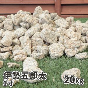 伊勢五郎太 1寸 10kg / 庭 砂利 おしゃれ 石 庭石 砂利敷き 大粒 種類
