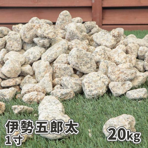 伊勢五郎太 1寸 20kg / 砂利 庭 石 おしゃれ 砂利敷き 庭石 大粒 種類 ゴロタ グリ 栗...