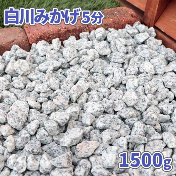 白川みかげ 5分 (約14-21mm) 1500g / 庭 砂利 おしゃれ 砂利敷き 白 御影 石 ...