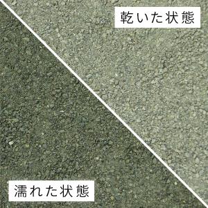 キッズグリーンサンド 0-1.7mm 1000...の詳細画像1