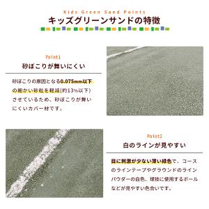 キッズグリーンサンド 0-1.7mm 1000...の詳細画像3