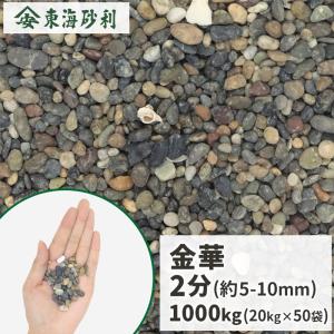 金華 2分 (約5-10mm) 900g [1000円クーポン付/ゆうパケット:代引,日時