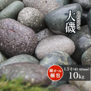 大磯 1.5寸 10kg [在庫限り] / 庭 砂利 おしゃれ 砂利敷き 石 庭石 大磯砂利 大粒 大きめ 石材｜tokaijari