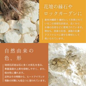 琉球石灰岩 50-200mm 500kg (1...の詳細画像5