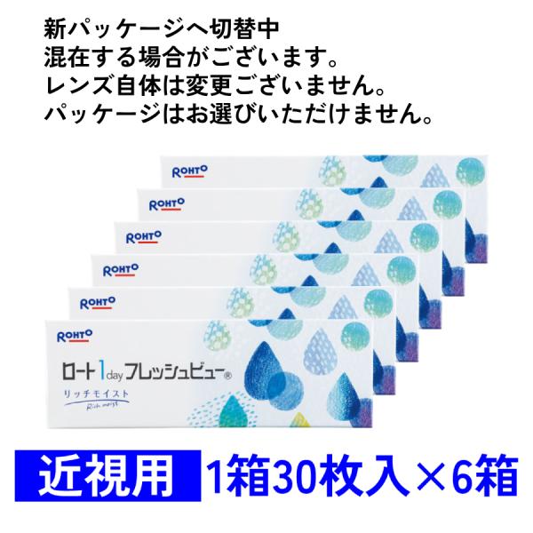 ワンデーフレッシュビューリッチモイスト 30枚入 6箱セット ロート 1day 近視用 送料無料