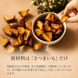 [1000円ポッキリ 送料無料] やきいもころ...の詳細画像1