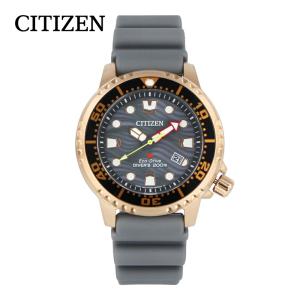 CITIZEN シチズン Eco-Drive エコドライブ PROMASTER 腕時計 時計 メンズ...