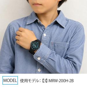 専用BOXなし ダイバーズ デザイン カシオ ...の詳細画像5