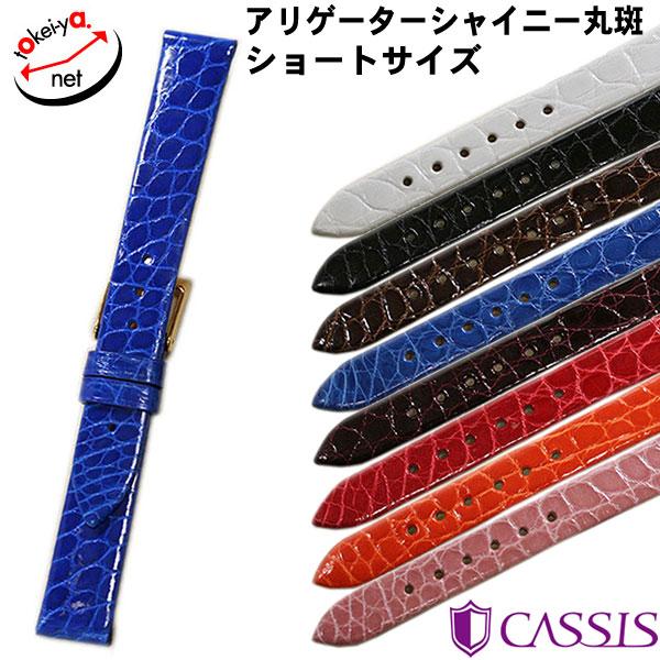 カシス RIOM SHINY リオンシャイニー 時計バンド 替えベルト レディース ショートサイズ ...
